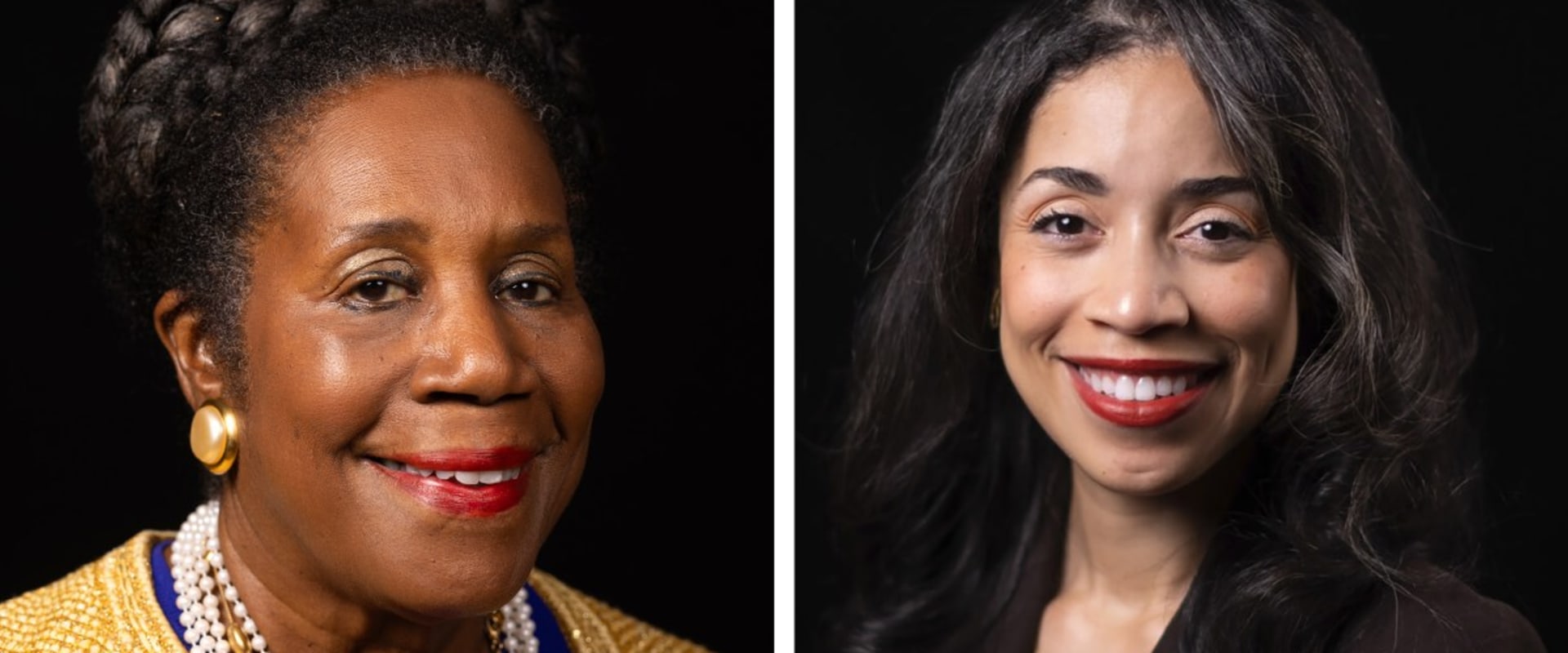 The Impact of Race and Ethnicity in Harris County, Texas Politics: An Expert's Perspective