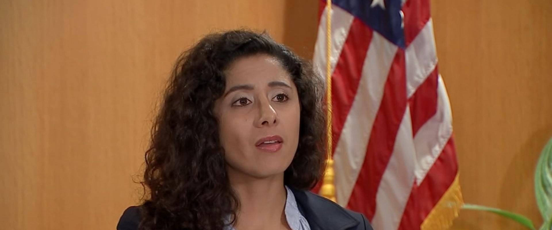 The Top Political Priorities for Harris County, Texas in the Upcoming Year
