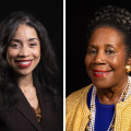 The Impact of Race and Ethnicity in Harris County, Texas Politics: An Expert's Perspective