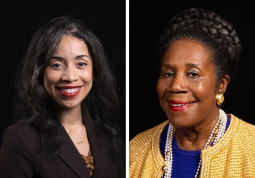 The Impact of Race and Ethnicity in Harris County, Texas Politics: An Expert's Perspective